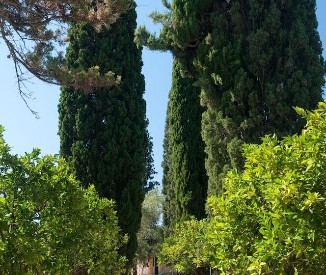 اتاق استاندارد با چشم‌انداز باغ, Agriturismo Villa Coluccia