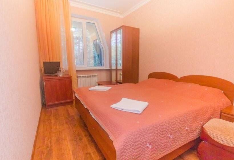 Номер Стандарт, Sosnoviy Bor