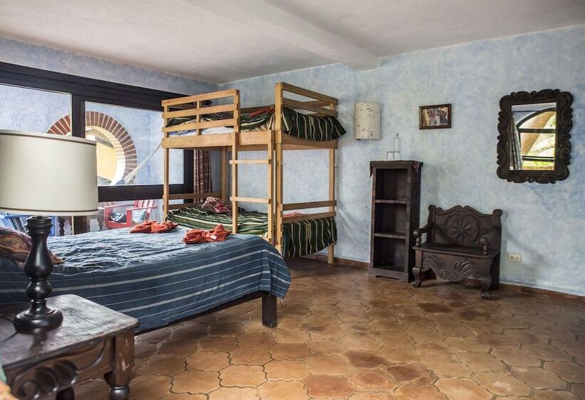 سوییت خانوادگی, La Iguana Perdida   Hostel