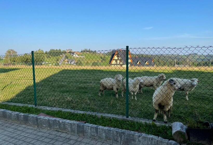 Номер Стандарт Трехместный, Pensjonat Sekuła