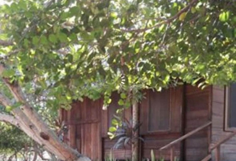 Четырехместный Номер Стандарт, Ciamat Camp