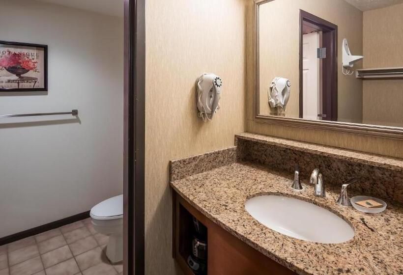 Номер Стандарт Адаптированный для Инвалидов, Apple Tree Inn; Surestay Collection By Best Western