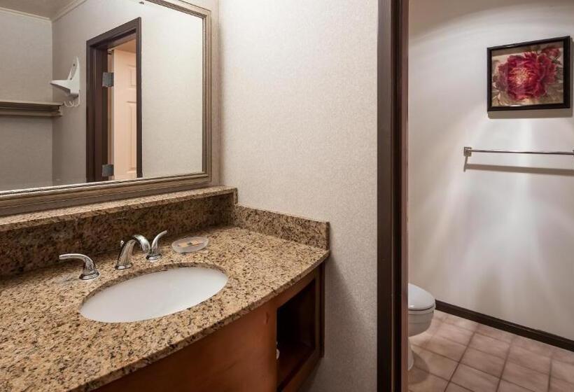 חדר סטנדרט עם מיטת קינג, Apple Tree Inn; Surestay Collection By Best Western