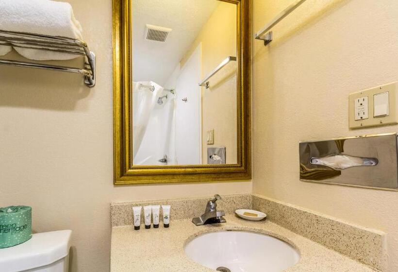 Номер Стандарт Адаптированный для Инвалидов, Countryside Suites Kansas City Independence I 70 East Sports Complex