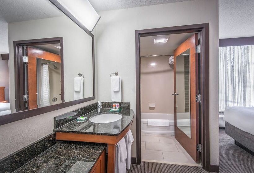 Номер Стандарт 2 Двуспальные Кровати, Hyatt Place Columbia/harbison