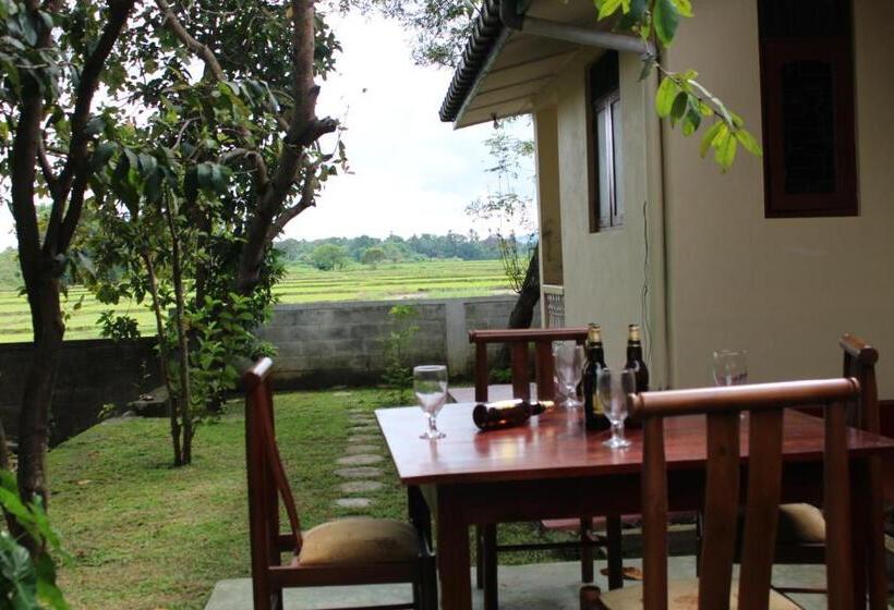 Номер Стандарт с Балконом, Sunshine Tourist Rest