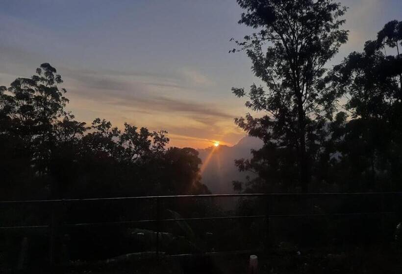 家庭山景房, Ella New Green View