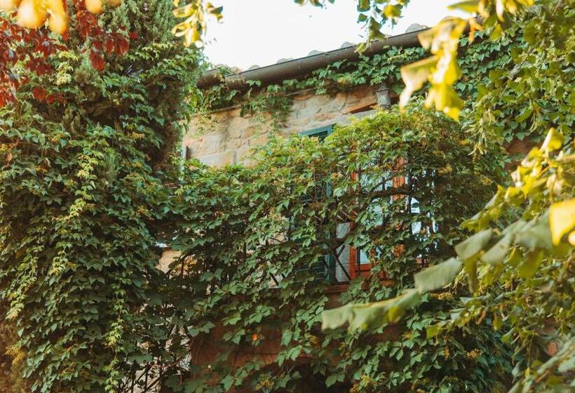 Апартаменты 1 Спальня, Agriturismo Il Borgo