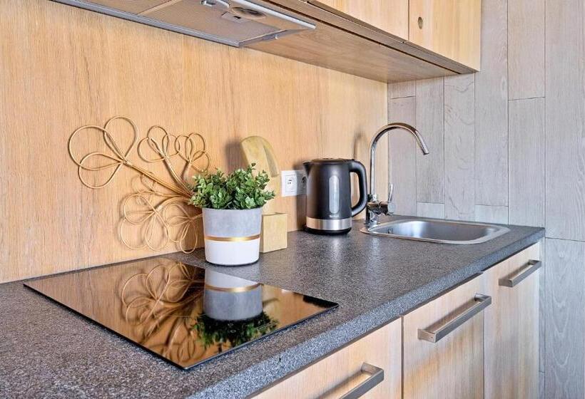 Apartamento Deluxe 1 Dormitório, Monte House Apartments Odkryj Zakopane