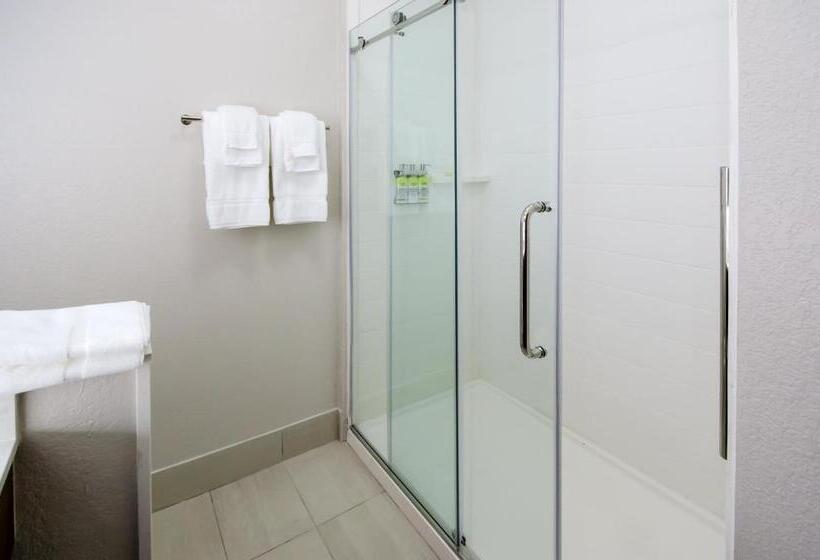 Люкс Кровать Кинг, Holiday Inn Express & Suites Taylor, An Ihg