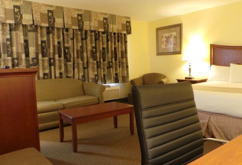 Люкс, Baymont By Wyndham Arlington At Six Flags Dr