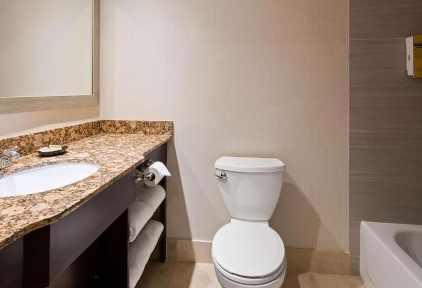 디럭스 스위트 킹 침대, Best Western Plus Ambassador Suites