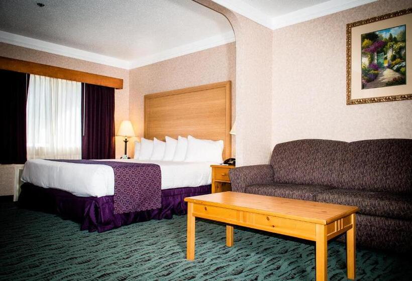 带大床的标准间, Best Western Plus Executive Court Inn & Conference Center