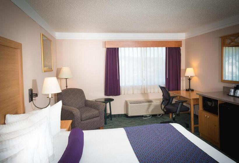 标准间, Best Western Plus Executive Court Inn & Conference Center