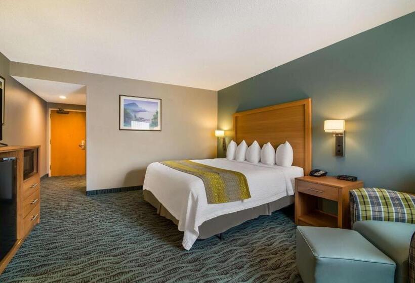 适合残疾人士使用的带超级大床的标准间, Best Western Plus Executive Court Inn & Conference Center