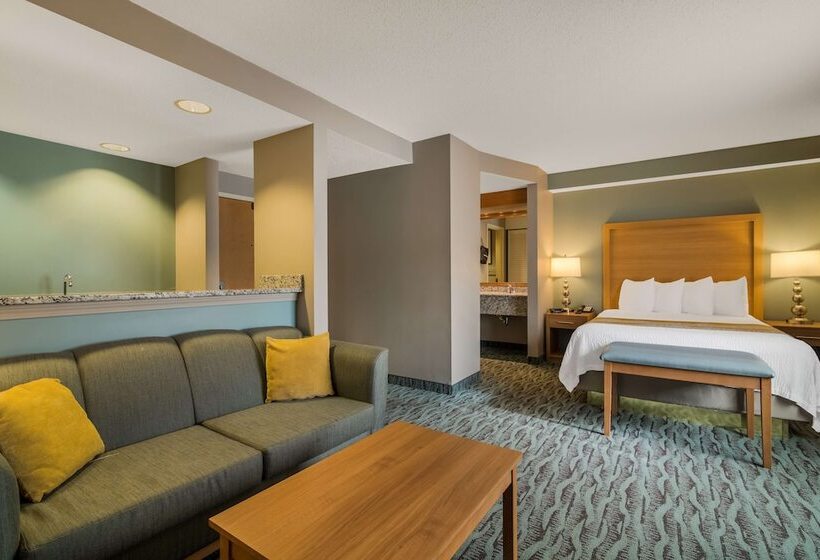 套房, Best Western Plus Executive Court Inn & Conference Center