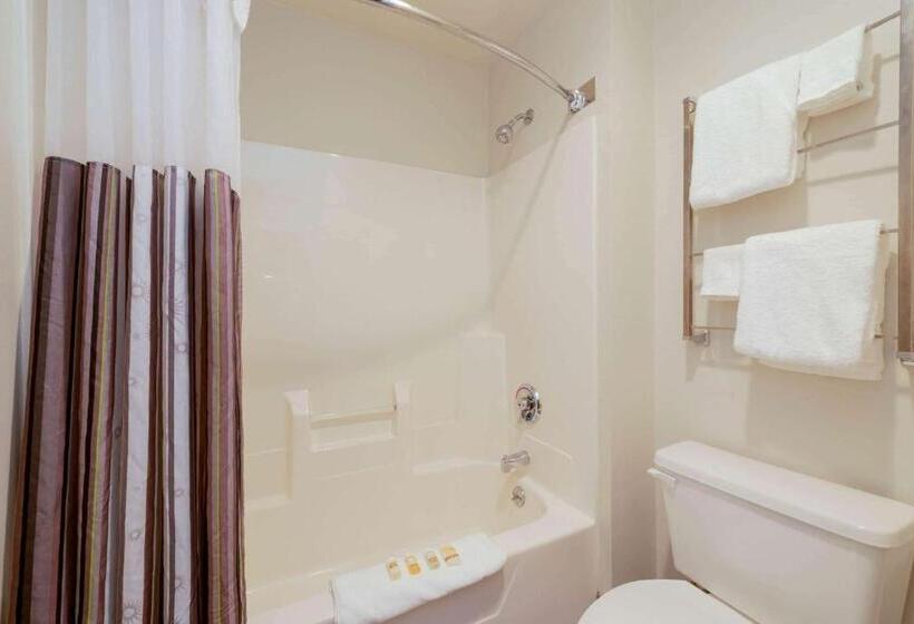 스위트 킹사이즈 침대, La Quinta By Wyndham Cleveland Macedonia