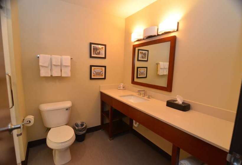 Люкс, Comfort Inn & Suites West Des Moines