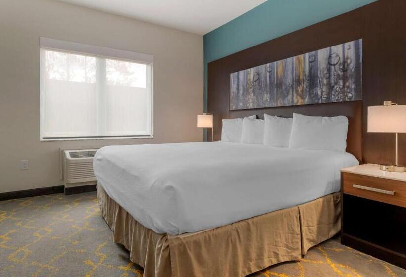 Люкс Кровать Кинг, Best Western Plus Isanti
