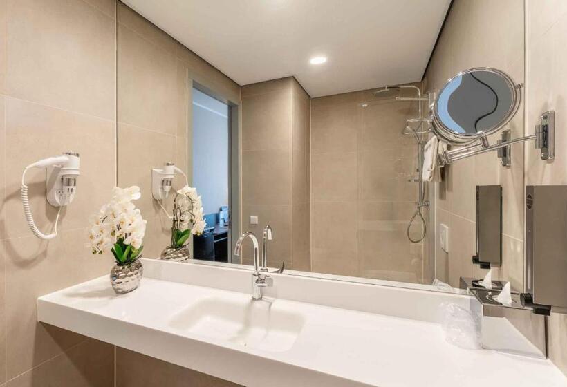 Номер Комфорт, Plaza Premium Den Haag City Center