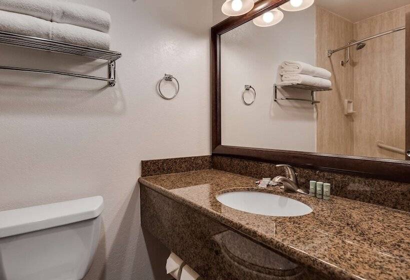 Люкс, Best Western Hidesert Inn