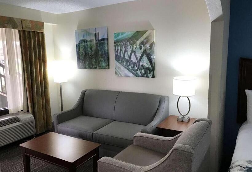 스탠다드 룸 킹사이즈 침대, Best Western Inn & Suites Monroe