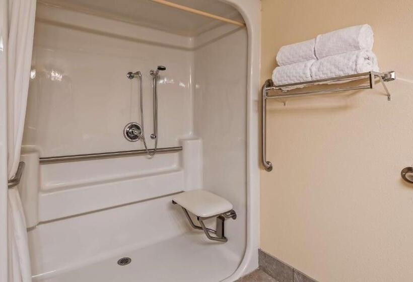 Номер Стандарт Кровать Кинг Адаптированный для Инвалидов, Best Western Music Capital Inn