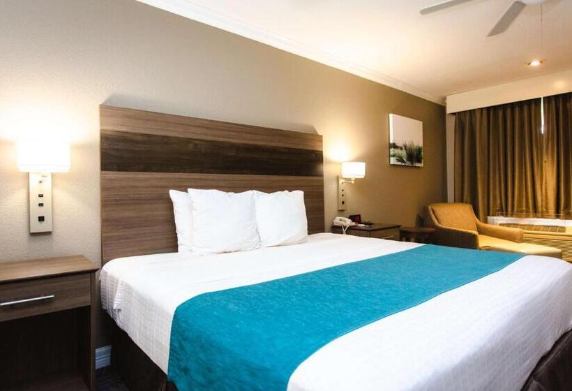 キングサイズベッドのスタンダードルーム, Best Western Pearland Inn