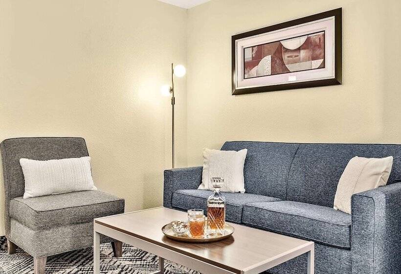 Люкс, Best Western Plus Lewisville Flower Mound