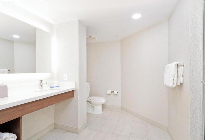 Номер Премиум, Holiday Inn Express & Suites Phoenix   Tempe, An Ihg