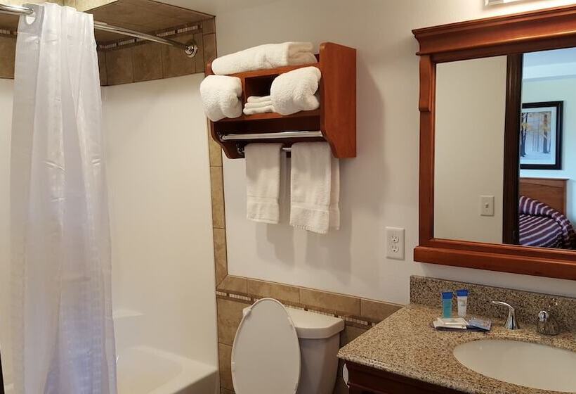 חדר סטנדרט עם מיטת קינג, Black Hawk Motel & Suites