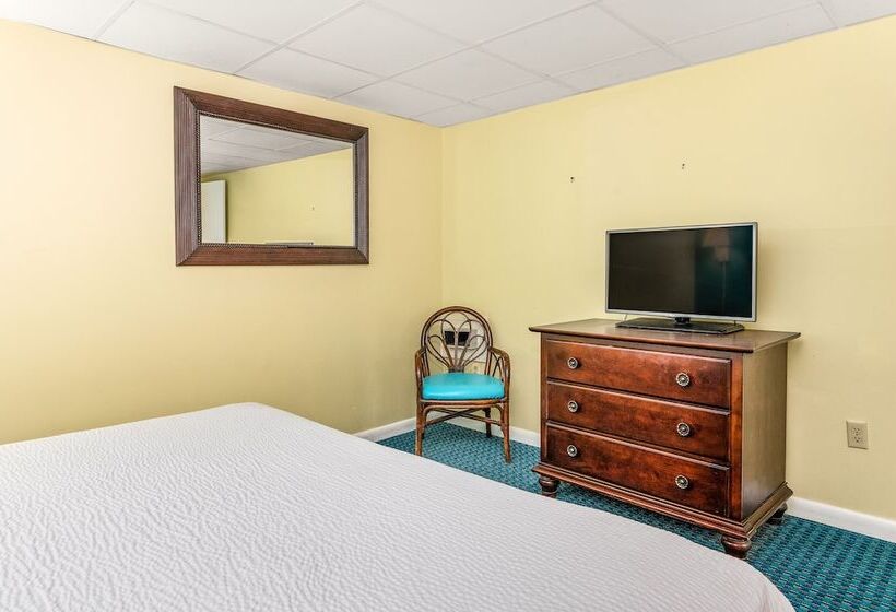 سوئیت با تخت بزرگ, Cayman Suites
