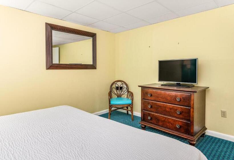 Suíte Cama King, Cayman Suites