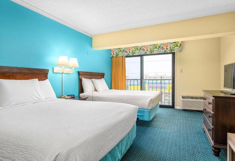 سوییت, Cayman Suites