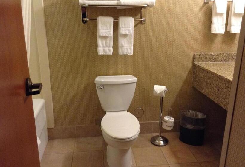 Стандартный Номер Кровать Кинг, Canal Park Lodge