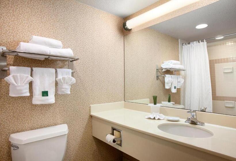 Номер Стандарт Кровать Кинг Адаптированный для Инвалидов, Capitol Plaza Hotel Jefferson City