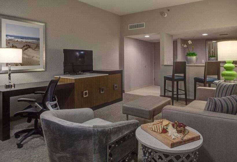 스탠다드 스튜디오 더블 침대, Doubletree By Hilton Hotel Jacksonville Airport