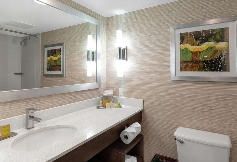 디럭스 스위트 킹 침대, Doubletree By Hilton Hotel Jacksonville Airport