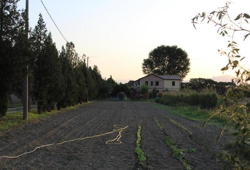 آپارتمان 2 خوابه, Agriturismo Terralieta