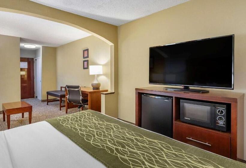 带大床的套房, Clarion Pointe Apex Holly Springs