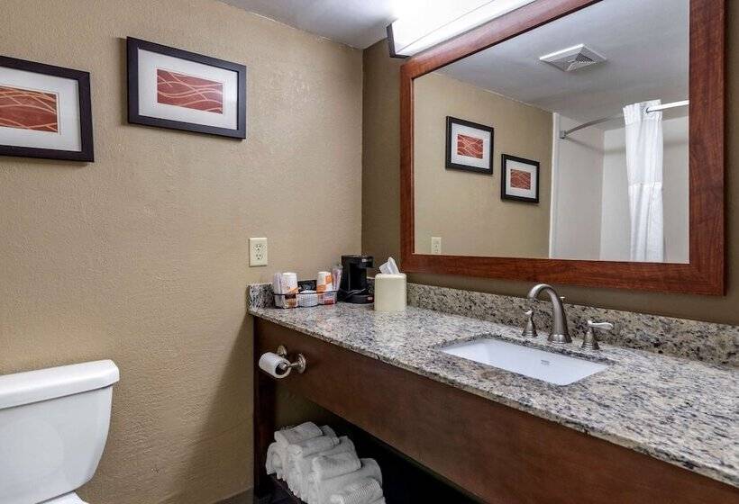 Люкс Кровать Кинг, Comfort Inn & Suites Leeds I20