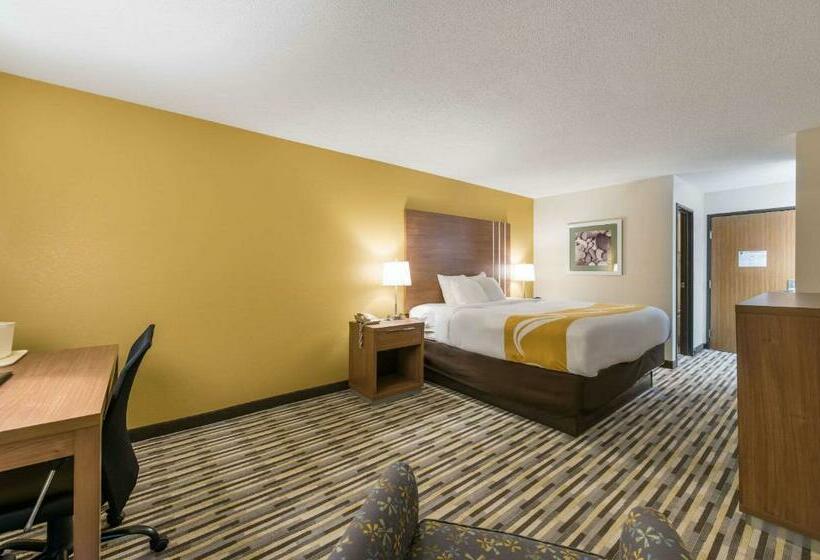 Стандартный Номер Кровать Кинг, Quality Inn Michigan City South