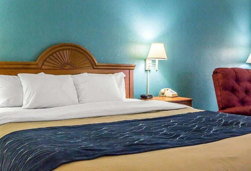 Стандартный Номер Кровать Кинг, Quality Inn & Suites