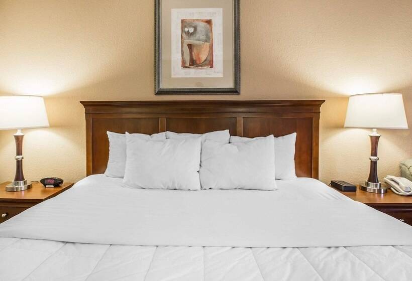 스탠다드 룸, Quality Inn & Suites