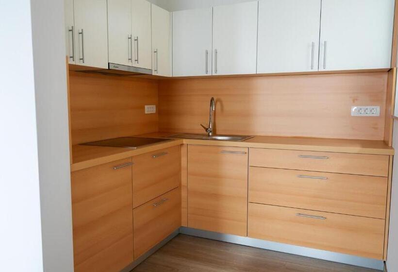 آپارتمان 1 خوابه با بالکن, Pjagodic Apartments & Wellness
