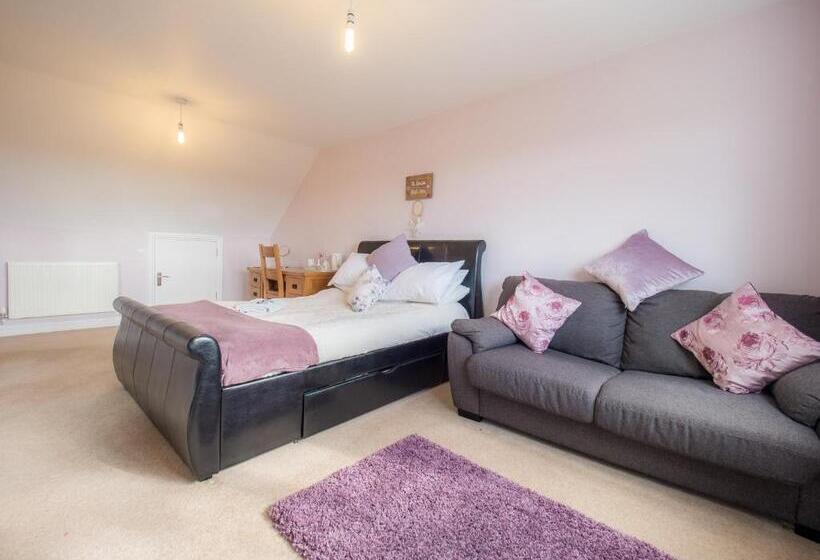 디럭스 룸 킹사이즈 침대, Tlc Exmouth Bed And Breakfast
