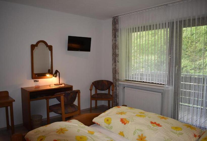 Номер Стандарт с Балконом, Pension Haus Am Waldesrand
