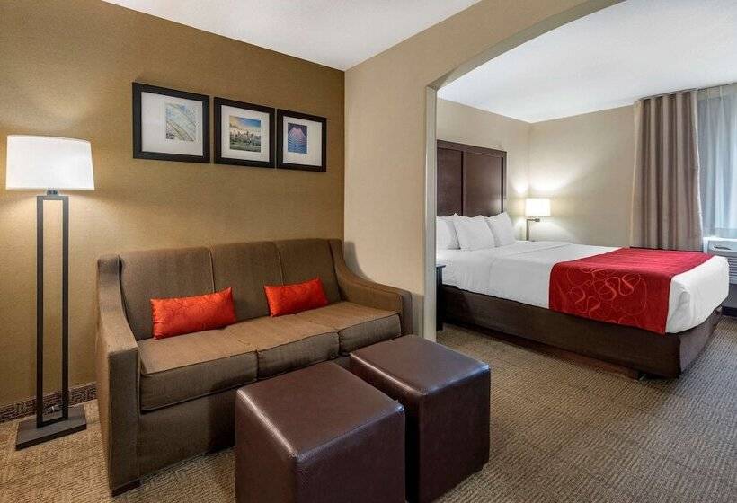스위트, Comfort Suites Highlands Ranch Denver Tech Center Area