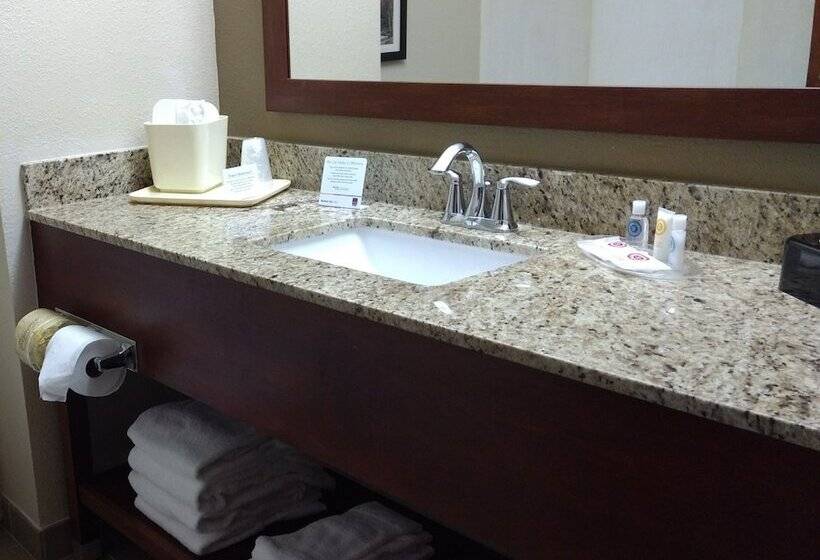 스위트, Comfort Suites Johnson City Near University