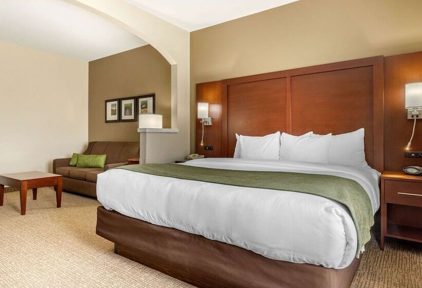 스위트, Comfort Suites Johnson City Near University